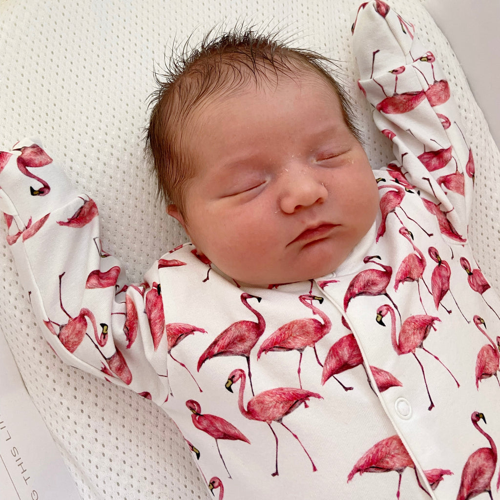 Newborn store flamingo outfit