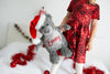 Large personalised Christmas Grey Teddy Bear
