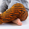 Tiger stripe Print Baby Leggings