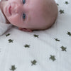 Turtle print Muslin Swaddle